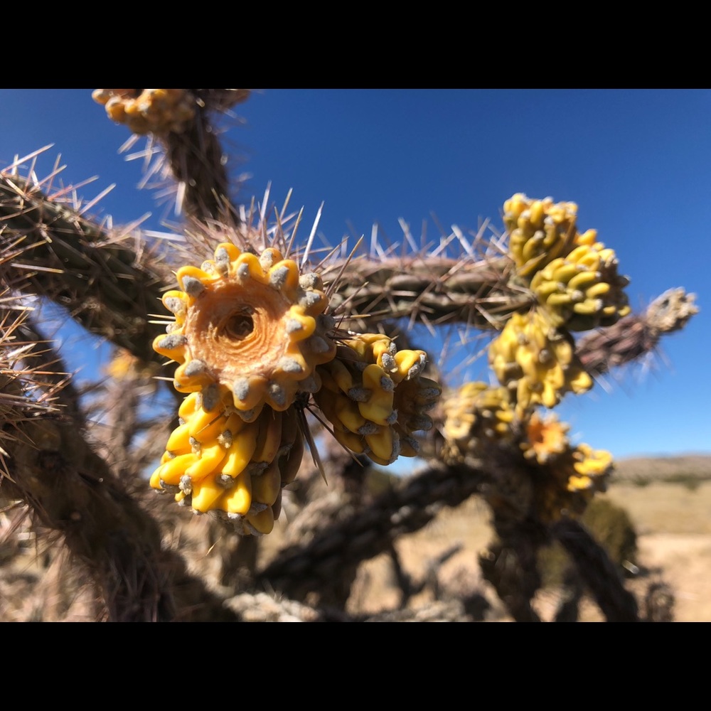Meet your Posher, Judy